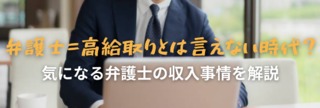 弁護士＝高給取りとは言えない時代？気になる弁護士の収入事情を解説